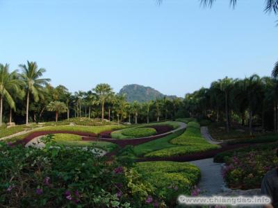 thumbs/0013---Nong-Nooch--0113.jpg