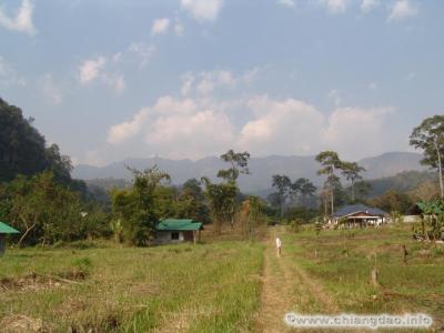 thumbs/0030---Chiang-Dao-Nest--0056.jpg