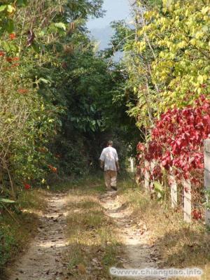 thumbs/0032---Chiang-Dao--0151.jpg